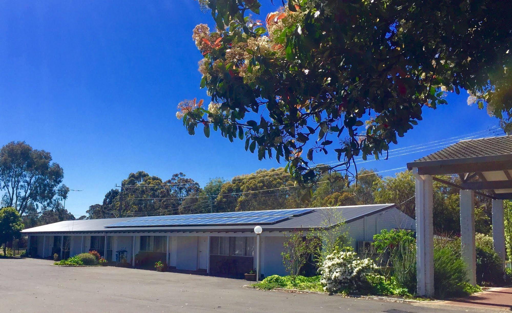 Manjimup Kingsley Motel Kültér fotó